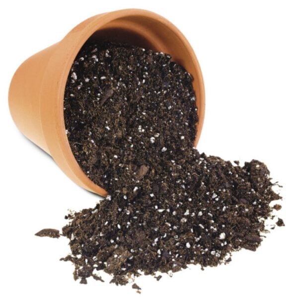 Nutrient Rich Potting Mix for Plants - 5 Kg